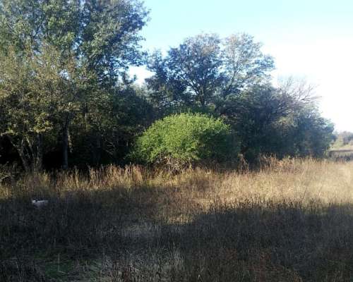 Campo Mixto Agricola - Ganadero - Santiago del Estero 35%off