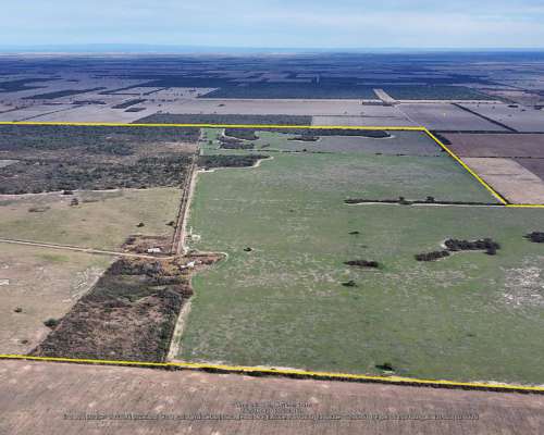 Córdoba la Puerta 500 Has Mixtas Agricolas