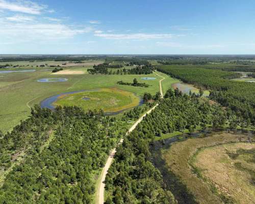 Pcia. de Corrientes - Pago de los Deseos 254 Has
