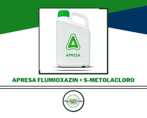 Herbicida Aapresa - Flumioxazin + S-metolacloro