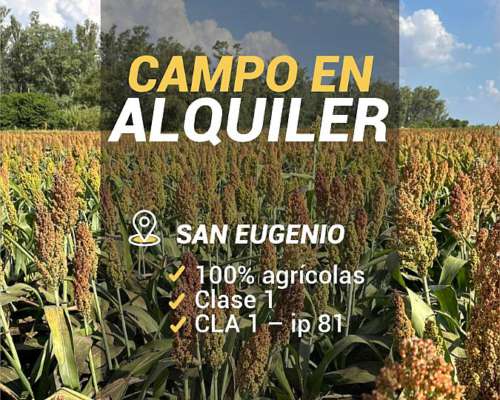 San Eugenio 9 Has Agrícolas. Suelo 1. Campo en Alquiler