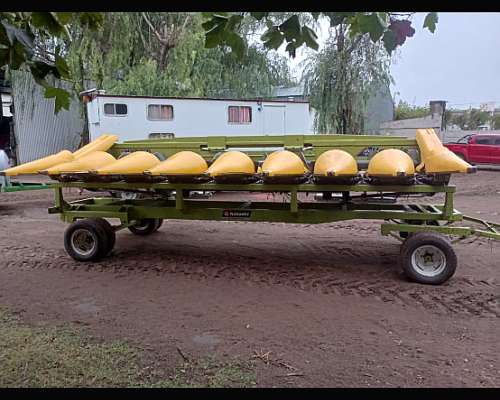 Maicero Allochis 8s a 70cm