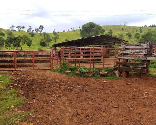 512 Ha Preciosa Estancia en Misiones