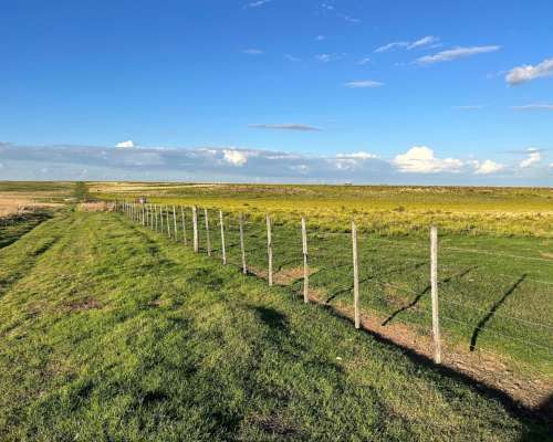 200 Has. Bahía Blanca, BS. AS.