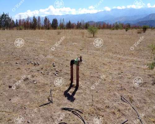 Campo en Venta de 357 Has Santa Maria, Catamarca