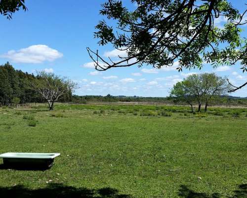 Campo Mixto en Concordia