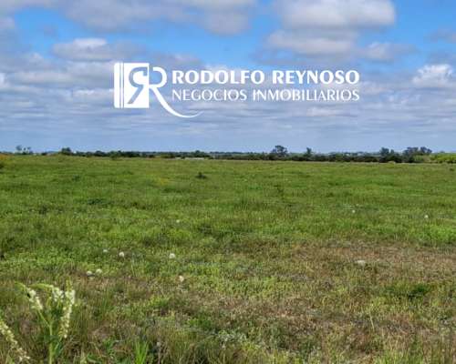 Lote de 1.14 Hectárea – Dpto. Colón (er)