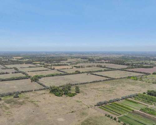 Pcia. de Buenos Aires - Pilar 18 Has