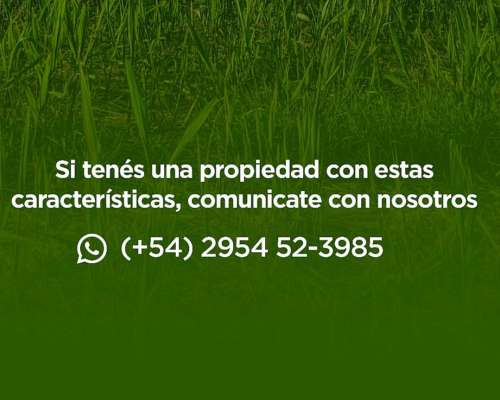 La Pampa - Pedidos de Campos para Arrendamientos Ganaderos