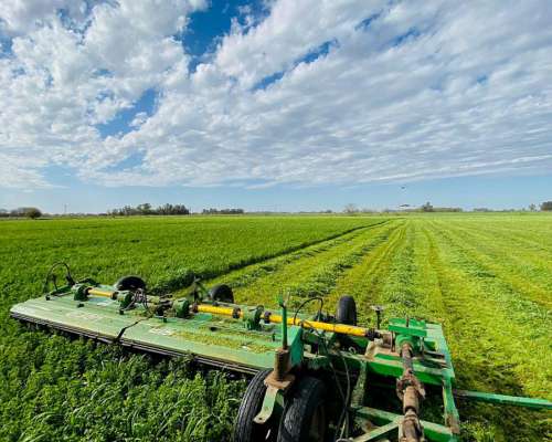 Cortadora Hiladora Eisen 4.2mts