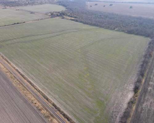 Campo Agrícola en Rocamora de 59 Hectáreas.