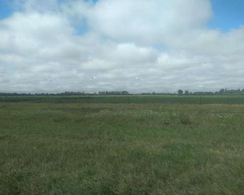 Invertir en Tierra HOY ES Asegurar el Mañana.