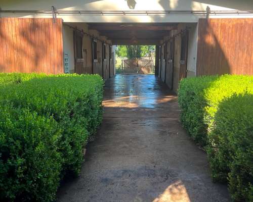 Excelente Chacra con Instalaciones Ecuestres en Cortines, L