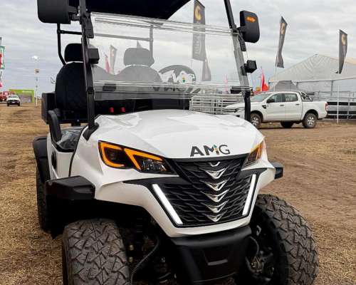 Carrito Electrico Nexus 2 Asientos