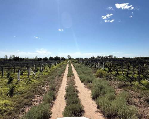 Finca Orgánica de 32 Sobre Ruta 7