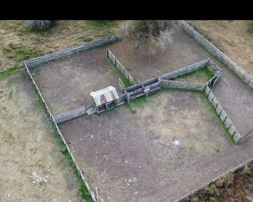 Campo en Arrendamiento Zona de Villaguay
