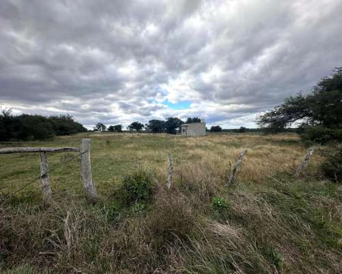 20,5 Ha Campo. con Casco. Buen Estado. Precio Inmejorable