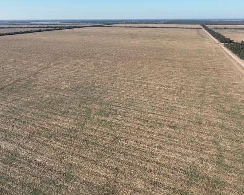 Averías, Taboada, Santiago del Estero - 1.625 Ha