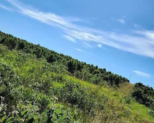 Se Vende Chacra de 48 Ha en Apostoles Misiones. 28 Ha con YE