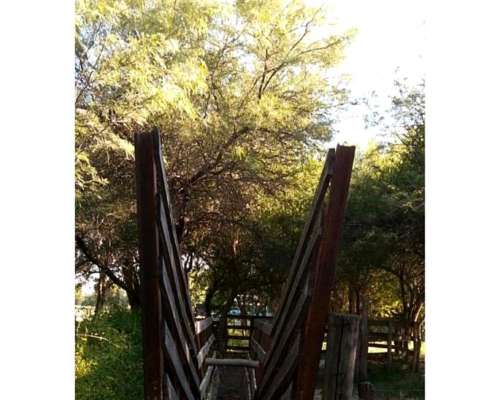 Venta de Campo Mixto con Casa 70 Hectáreas Canal de Riego