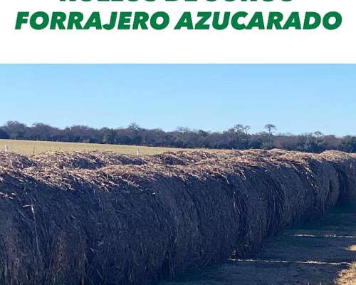 Rollos Alfalfa, Moha, Sorjo Forrajero Azuc, Vicia