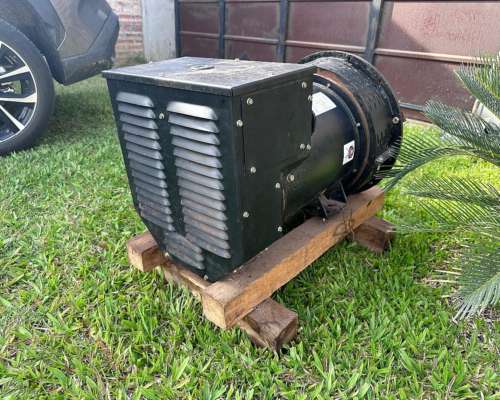 Generador Grupo Electrógeno 30kva Nuevo