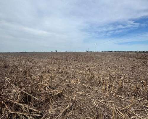 Campo Mixto 231 Hectáreas