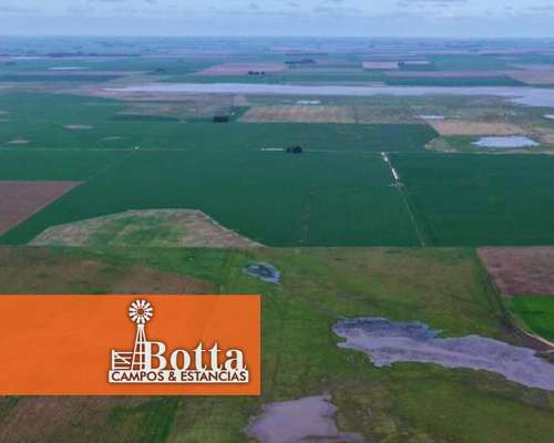 Campo Mixto en Venta, 667has en Tres Arroyos