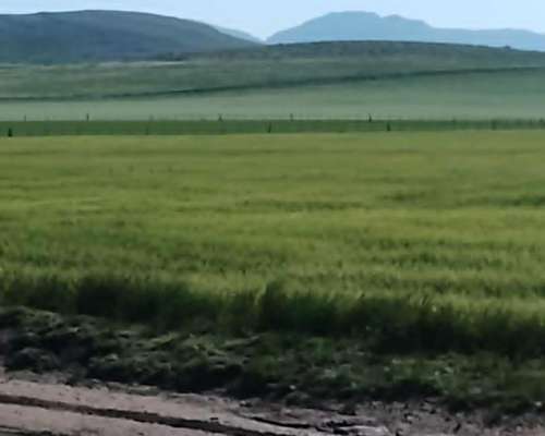 786 Ha con Tambo - a Tranquera Cerrada