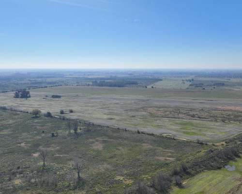 Pcia. de Buenos Aires - Marcos PAZ 185 Has