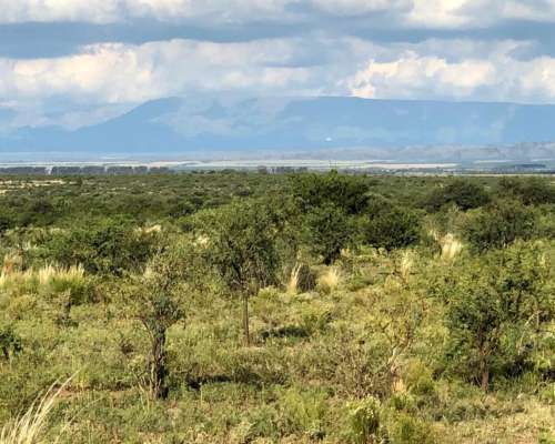 Campo Mixto de 417 Ha a 70 km de Merlo. Permuta.