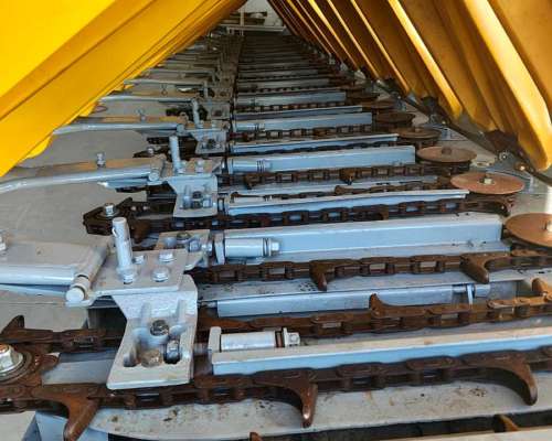 Maicero de Grande 19 a 52