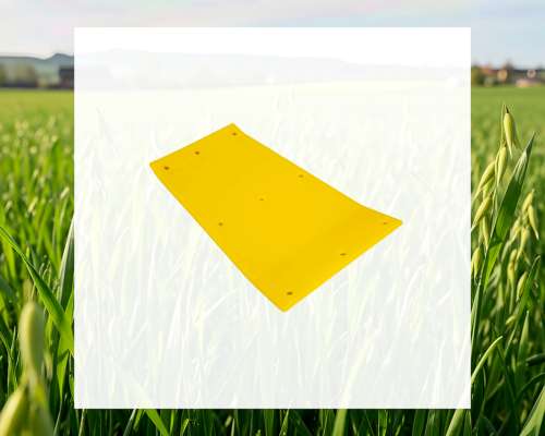 Patin Lateral Derecho (uhmw) H-231693