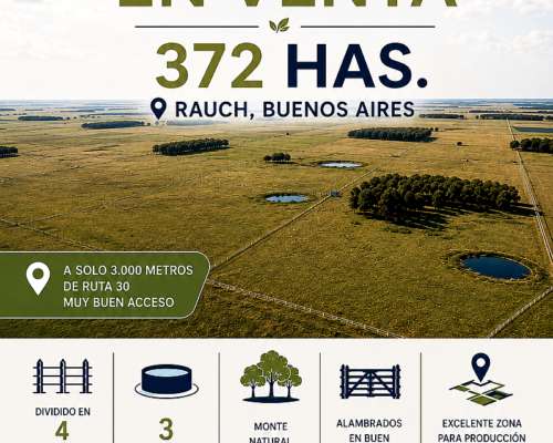 Campo en Venta - 372 Ha en Rauch