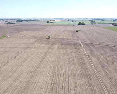 Ba3679 Venta 64 HA. Agricola Capitan Sarmiento Buenos Aires