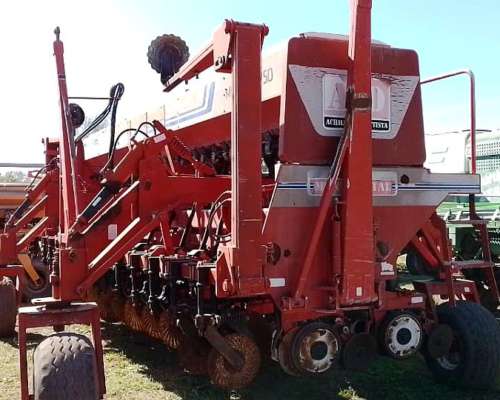 Semb.g.fino Achilli DI Battista de 25 a 26cm C/kit a 52 - Agroads