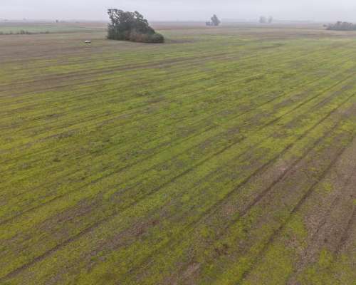 30 HA. Agrícola Suelo Clase 1. Muñoz (santa FE)