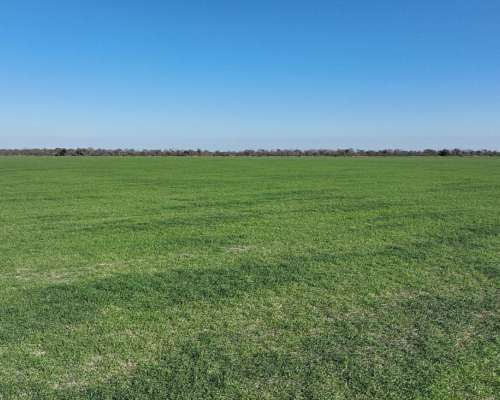 Averías, Taboada, Santiago del Estero - 1.625 Ha