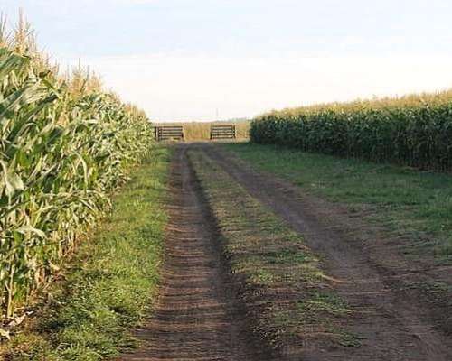 13 Has en Oncativo Sobre Autopista