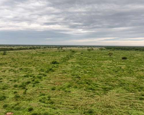 Santiago del Estero Gran Campo Ganadero 4.300 Has