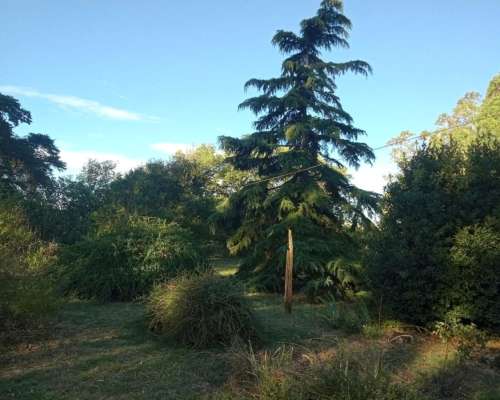 107 Ha muy Lindo Campo en Coronel Pringles