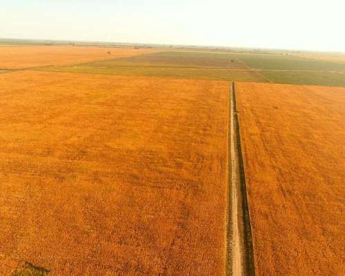 Campo en Venta en Colonia Castelar, Santa FE