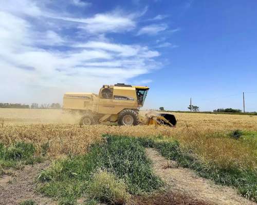 Cosechadora Usada New Holland