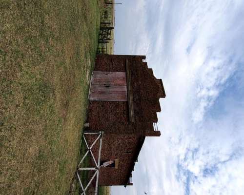 880 Has Sobre Ruta 51 Ganaderas