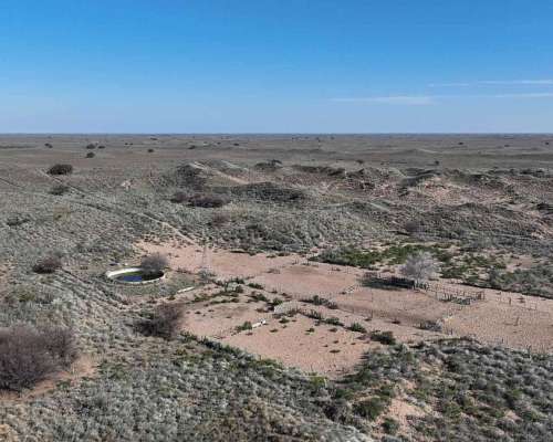 Pcia. de la Pampa - Santa Isabel 20000 Ha