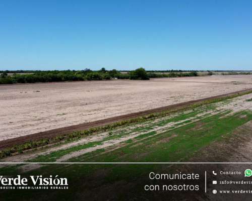 100 Has en Venta - Pcia del Chaco, Juan José Castelli