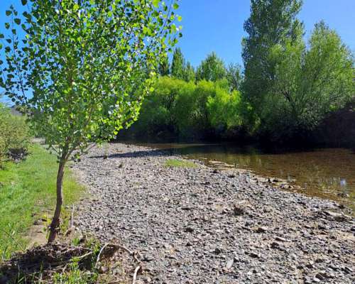 Gualjaina, Cushamen, Chubut - 2.501 Ha