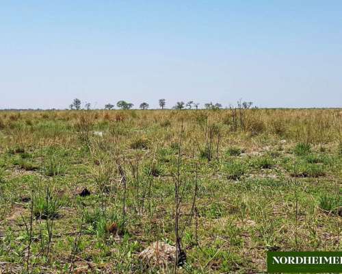 El Nochero, 9 de Julio, Santa FE - 30.000 Ha