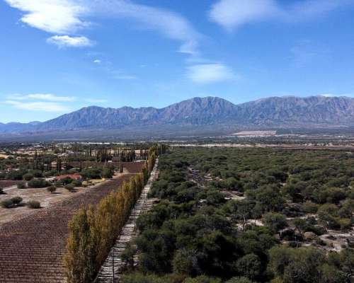 Campo de 77 Has en Venta Junto a Estancias