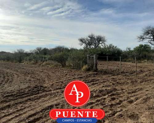 En Venta 750 HA. Chamaicó, la Pampa